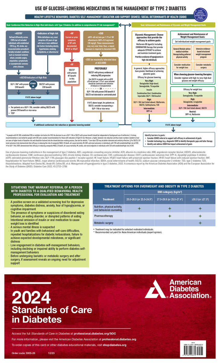 20 Standards of Care in Diabetes Pocket Chart – ShopDiabetes.org ...