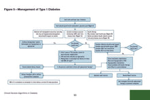 Load image into Gallery viewer, Clinical Decision Algorithms in Diabetes: A Practical Pocket Reference for Diagnosis, Classification, and Management of Diabetes and its Complications