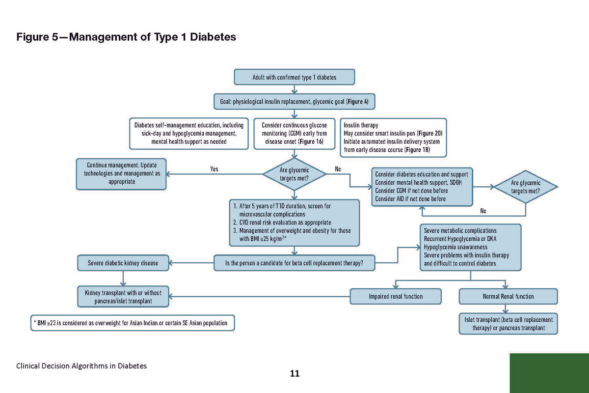 Clinical Decision Algorithms in Diabetes: A Practical Pocket Reference for Diagnosis, Classification, and Management of Diabetes and its Complications