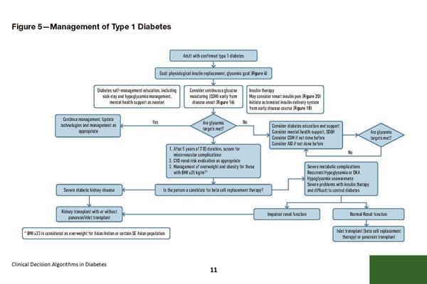 Clinical Decision Algorithms in Diabetes: A Practical Pocket Reference ...