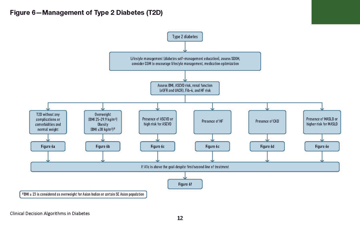Clinical Decision Algorithms in Diabetes: A Practical Pocket Reference for Diagnosis, Classification, and Management of Diabetes and its Complications