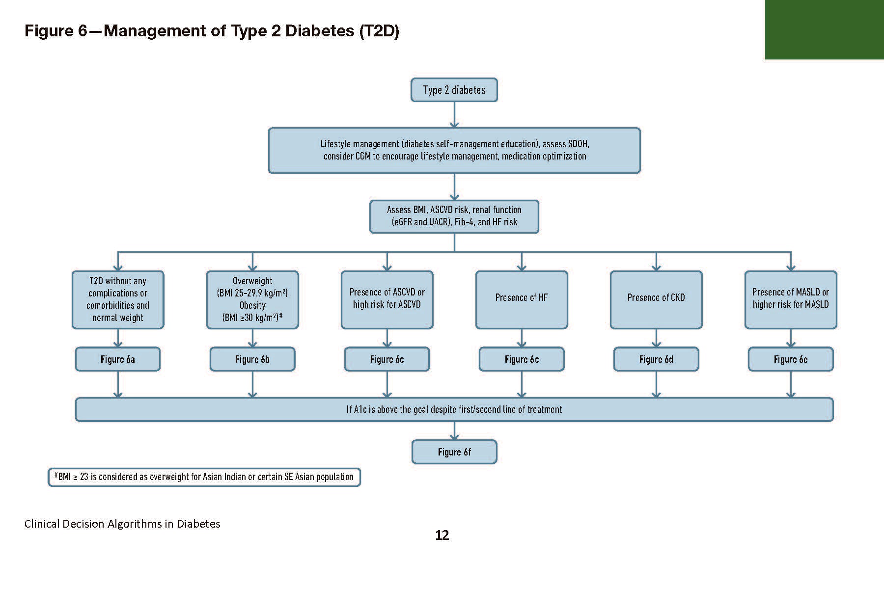 Clinical Decision Algorithms in Diabetes: A Practical Pocket Reference ...