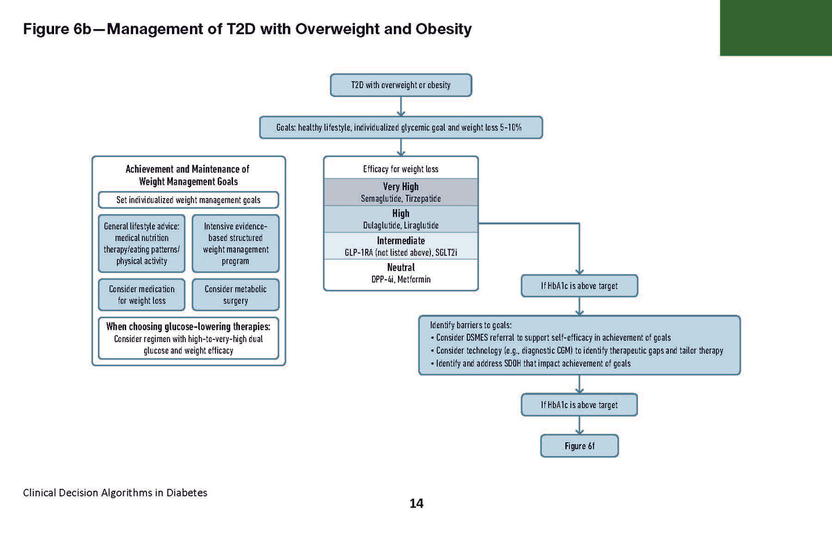 Clinical Decision Algorithms in Diabetes: A Practical Pocket Reference for Diagnosis, Classification, and Management of Diabetes and its Complications