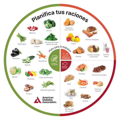 Diabetes Plate Method Portion Wheels (Spanish) (25/Pkg)