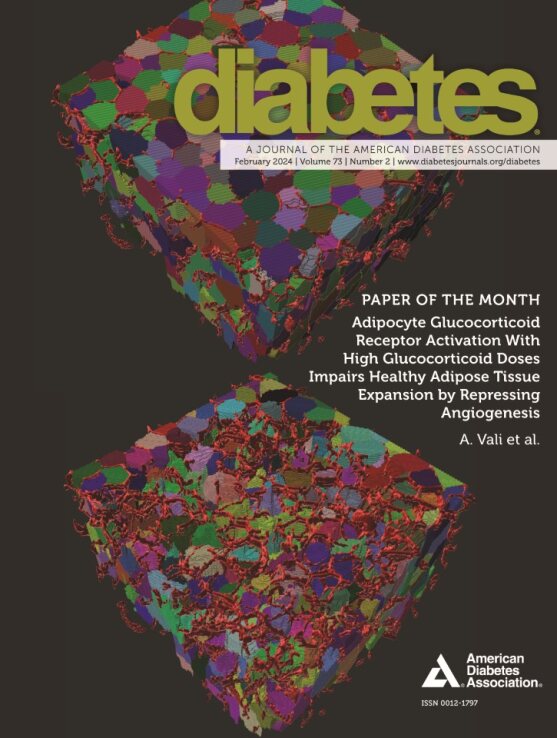 Diabetes Journal, Volume 73, Issue 2, February 2024 – ShopDiabetes