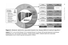 Load image into Gallery viewer, Practical Type 2 Diabetes: A Handbook for Clinicians
