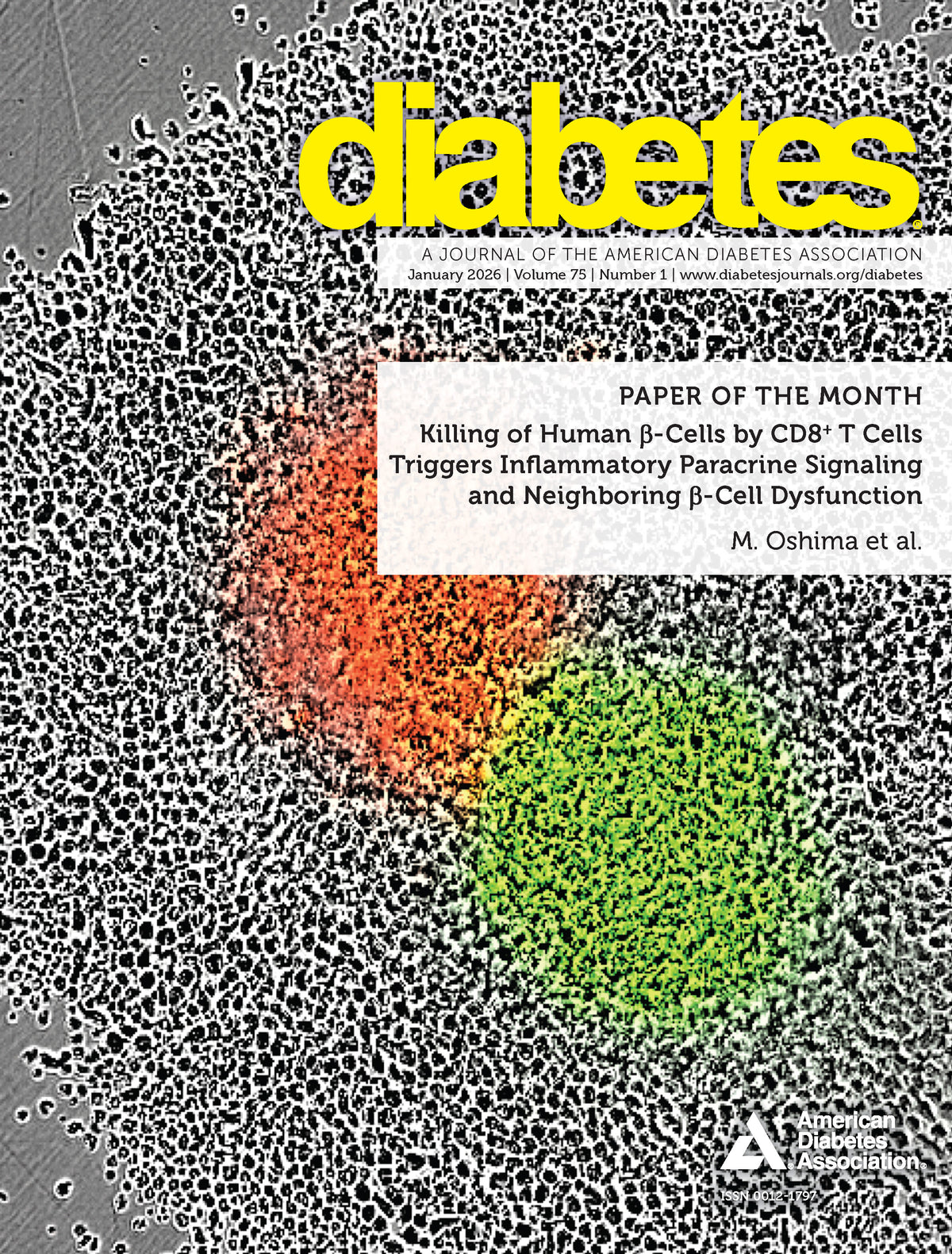 Diabetes Journal, Volume 75, Issue 1, January 2026