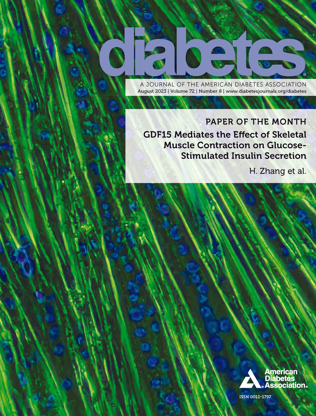 Diabetes Journal, Volume 72, Issue 8, August 2023