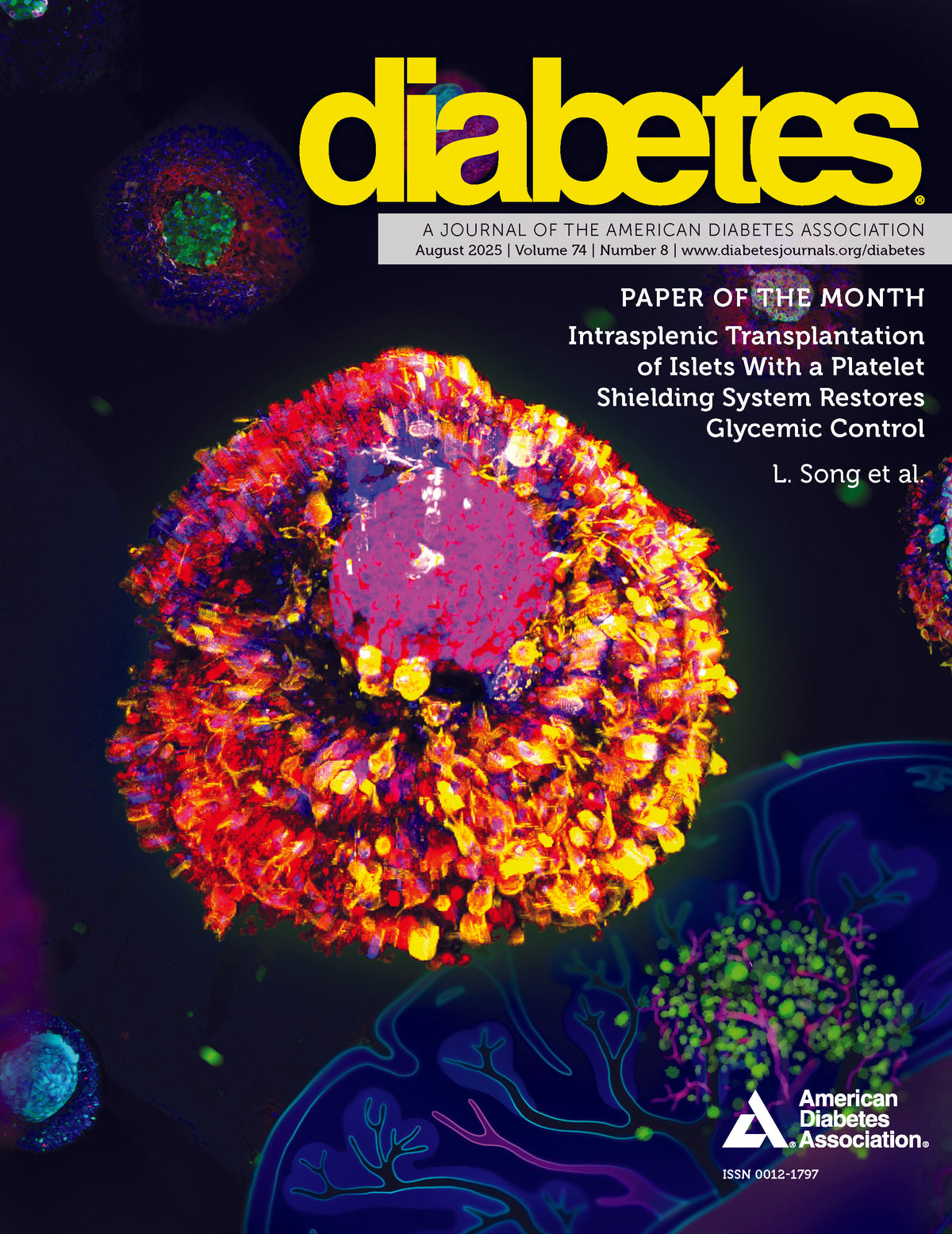 Diabetes Journal, Volume 74, Issue 8, August 2025