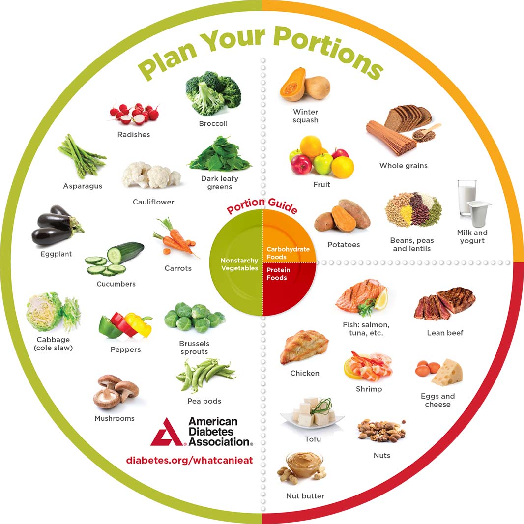 Diabetes Plate Method Portion Wheels 25 Pkg ShopDiabetes diabetes-plate-method-portion-wheels-25-pkg-shopdiabetes