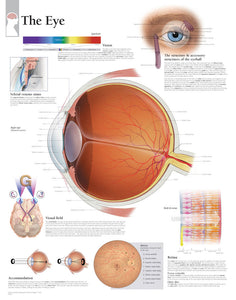 Understanding the Eye Wall Chart