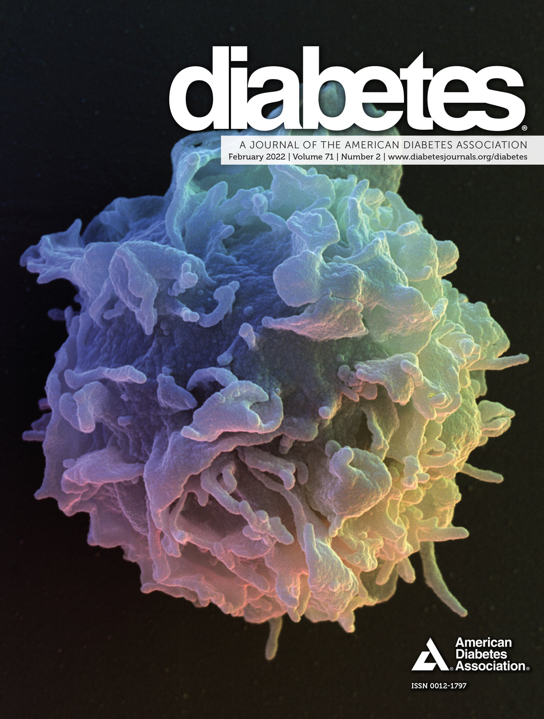 Diabetes Journal, Volume 71, Issue 2, February 2022