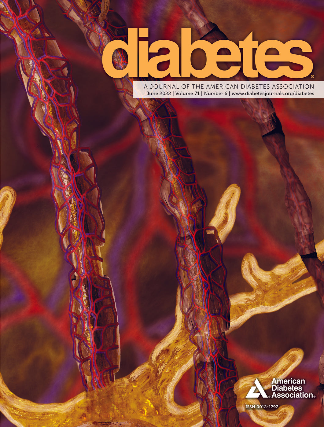 Diabetes Journal, Volume 71, Issue 6, June 2022