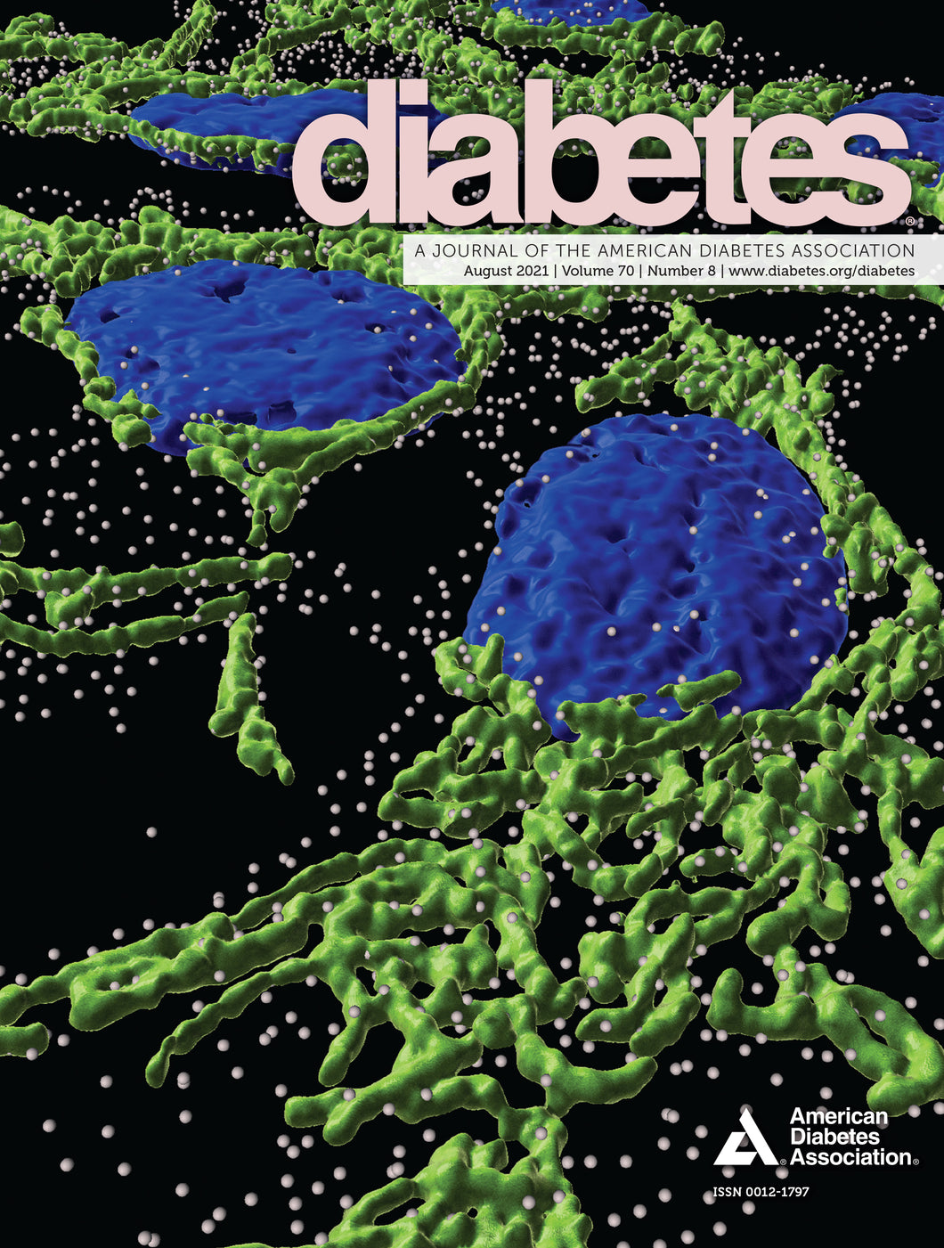 Diabetes Journal, Volume 70, Issue 8, August 2021