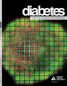 Diabetes Journal, Volume 71, Issue 12, December 2022