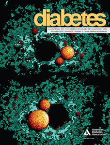 Diabetes Journal, Volume 70, Issue 12, December 2021