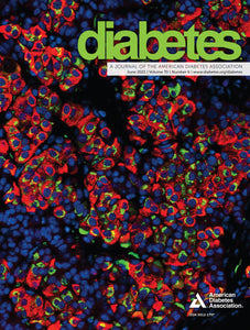 Diabetes Journal Volume 70, Issue 6, June 2021